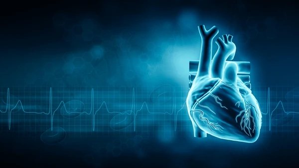 human heart ekg waveform 3d 600nw 2253186059